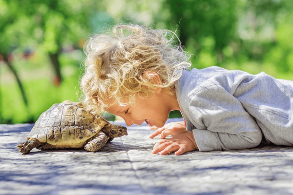 child with turtle